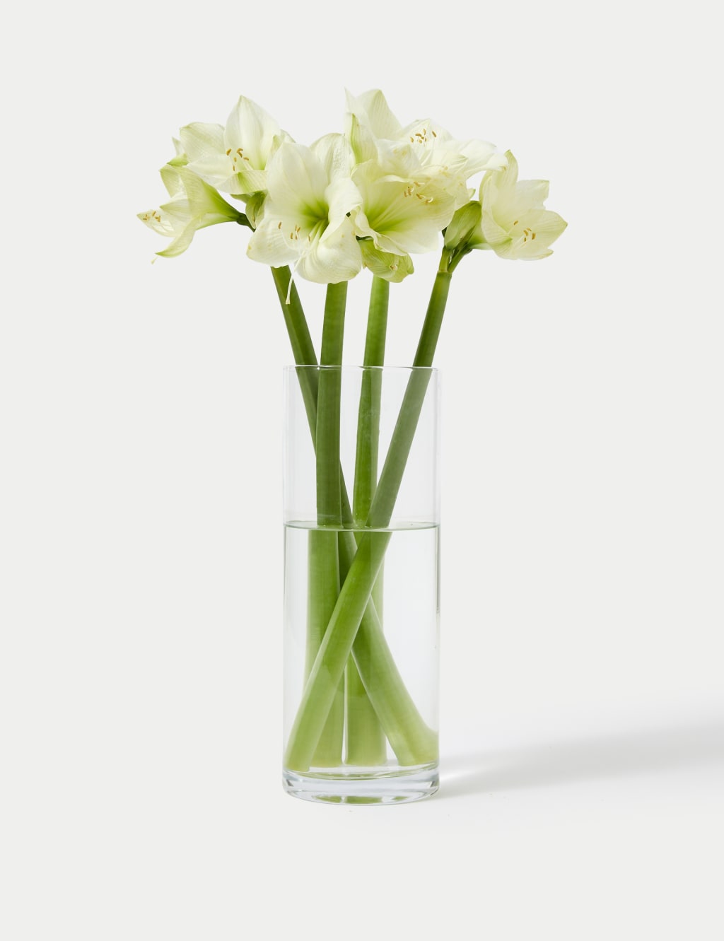 White Amaryllis Bouquet | M&S White Amaryllis Bouquet | M&S