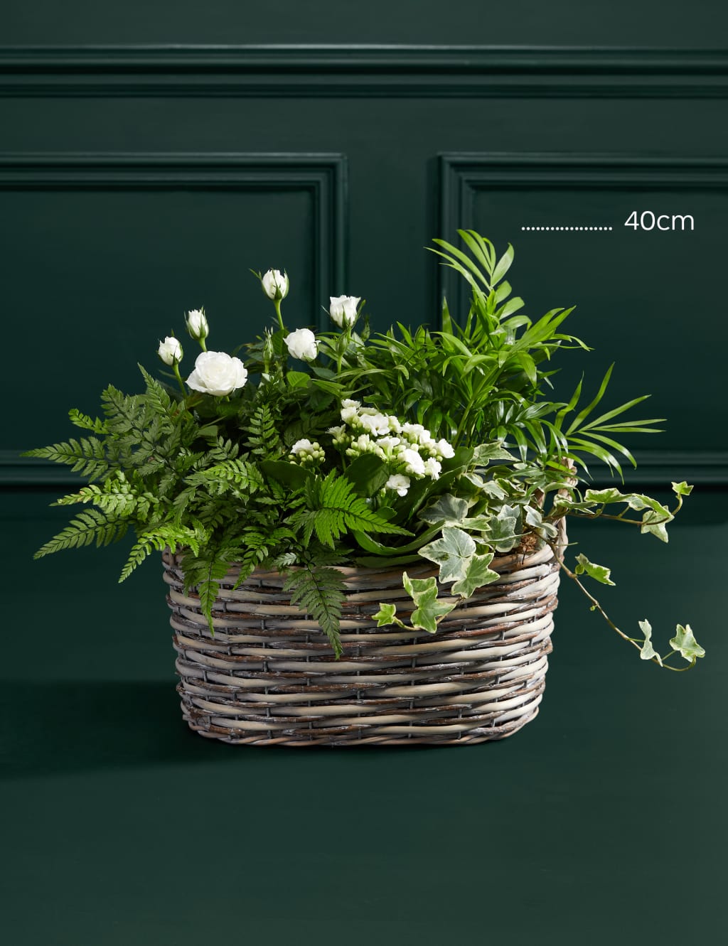 Luxury White Festive Planted Basket with Roses M S