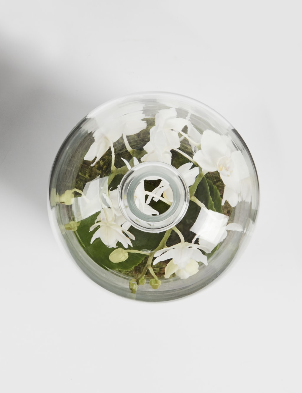 Christmas White Orchid Cloche 3 of 5