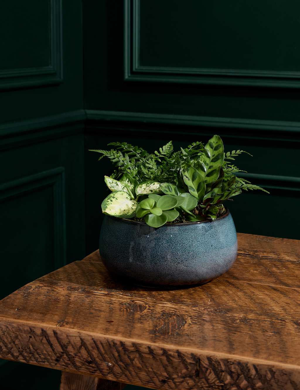 Foliage Planter 1 of 3