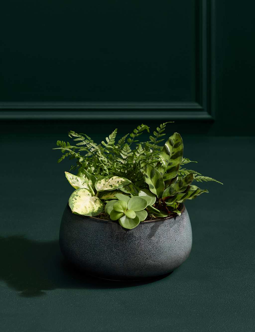 Foliage Planter 3 of 3