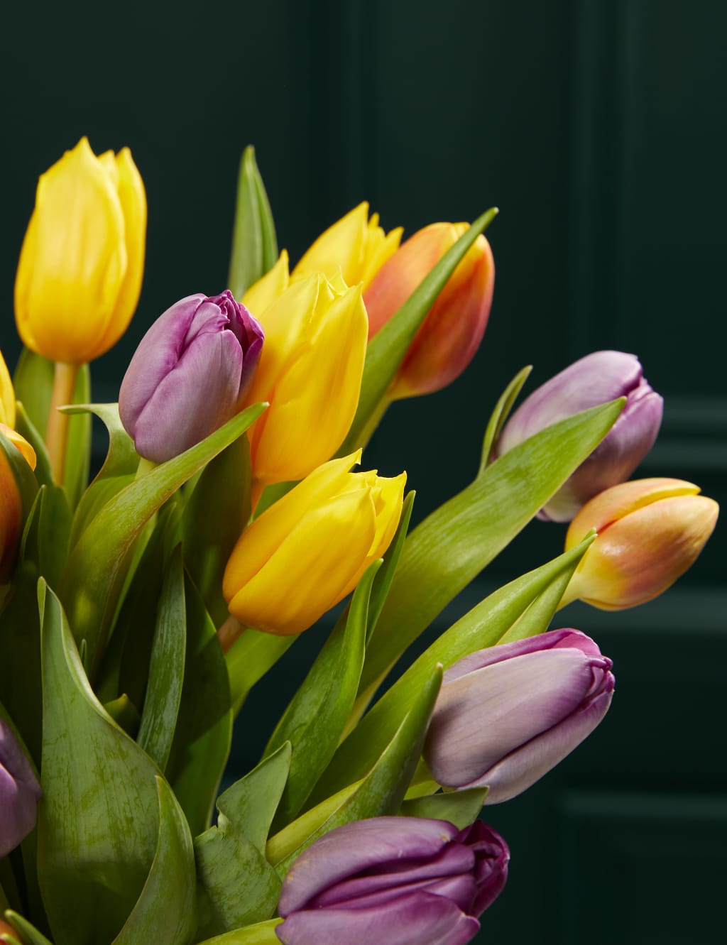 Bright & Beautiful British Tulip Bouquet 3 of 5