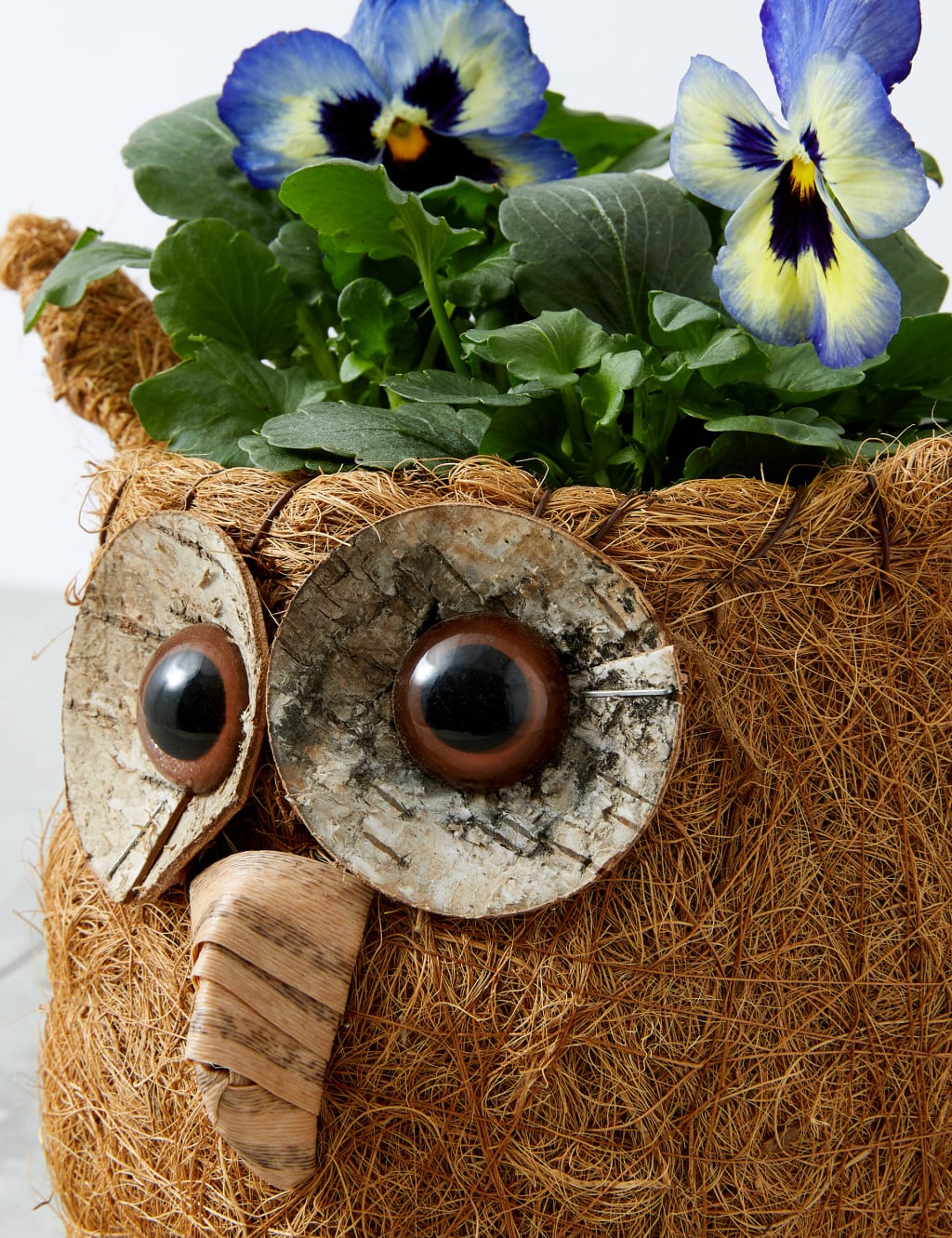 Spring Sisal Owl 4 of 5
