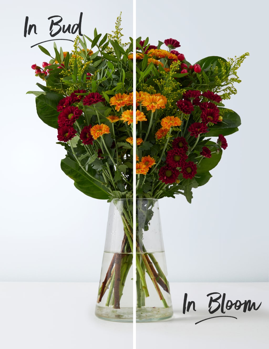 Autumn Seasonal Letterbox Flowers 3 of 6