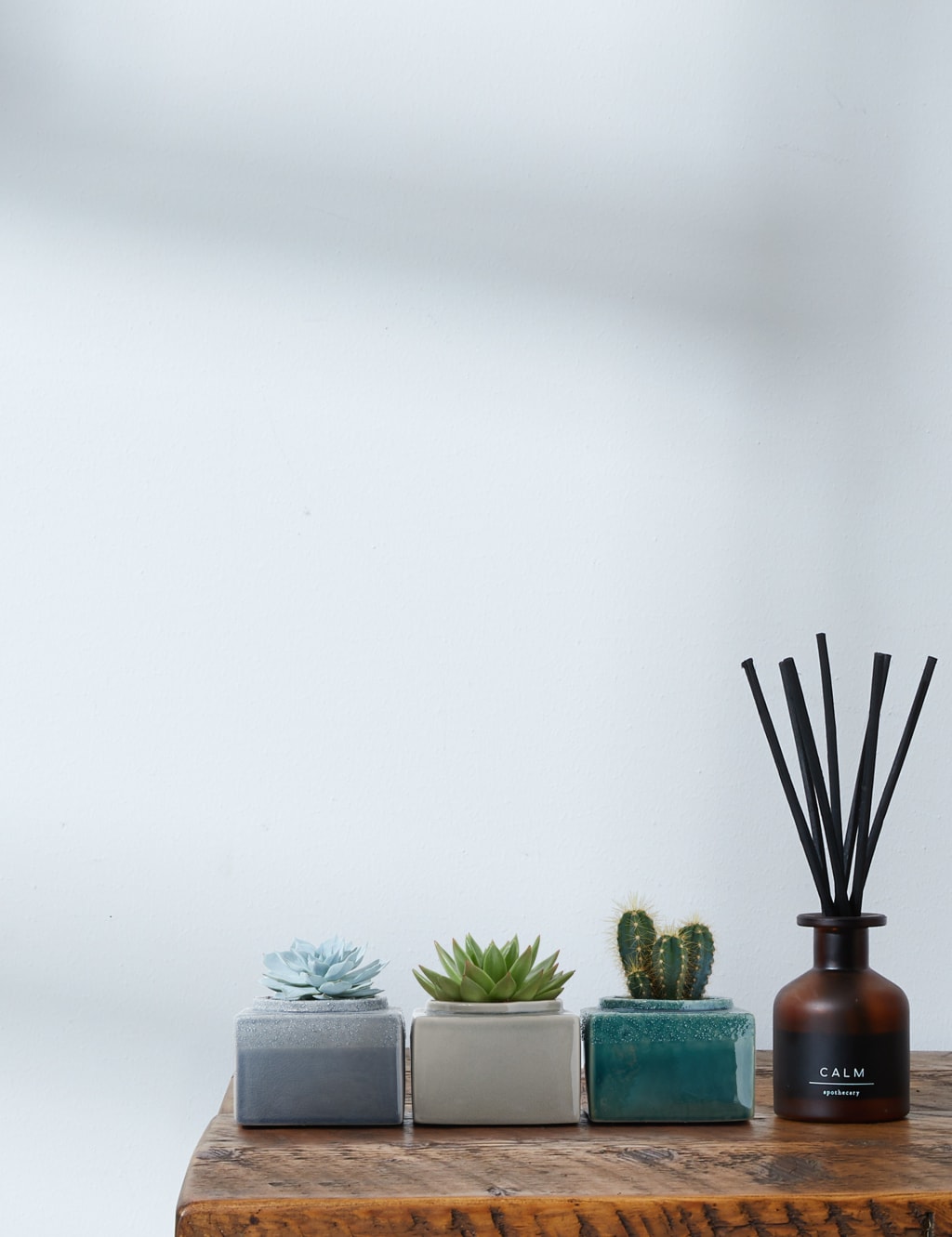 Cacti & Succulent Trio 2 of 4