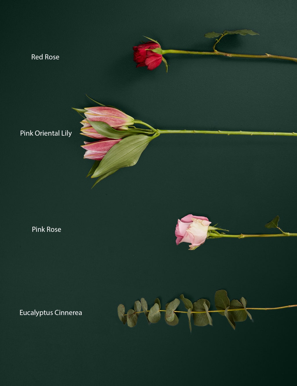 Valentine's Romantic Rose & Lily Bouquet 4 of 7