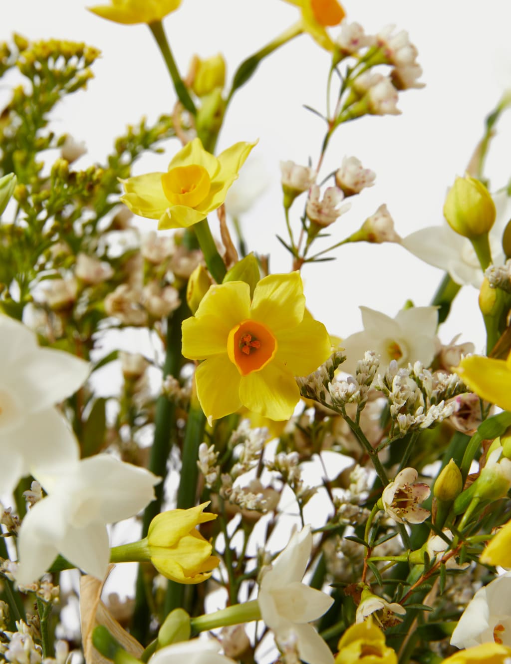 Narcissi & Foliage Posy 4 of 6