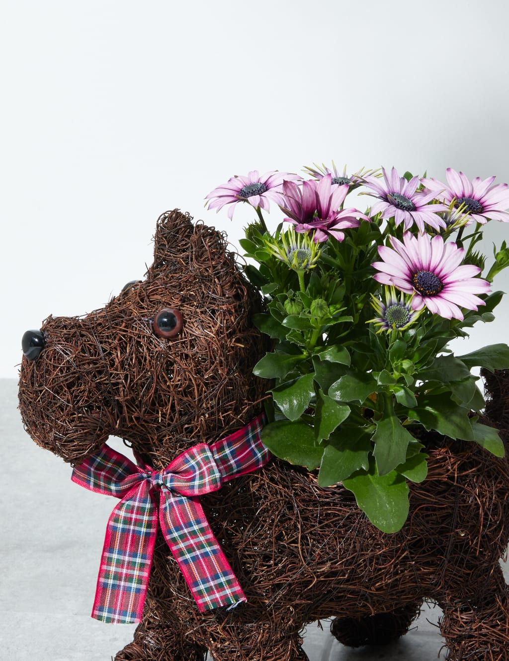 Novelty Scottie Dog 4 of 4