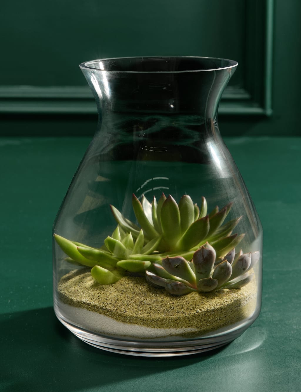 Succulent Bottle Garden Kit 3 of 3
