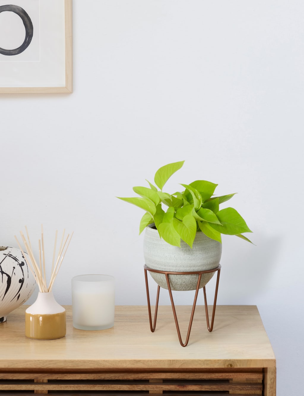 Pothos on Stand 1 of 4