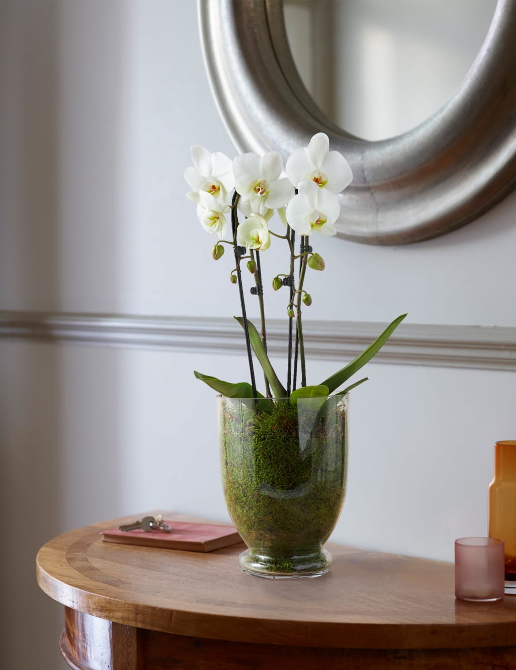 Luxury Orchid Glass 1 of 4