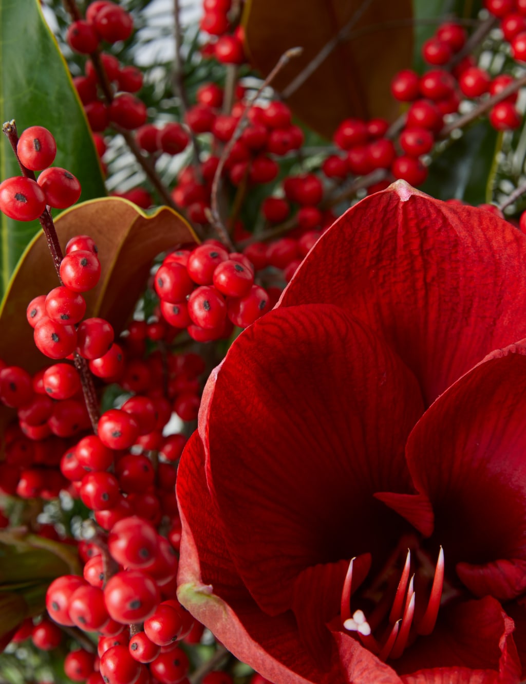 Christmas Celebration Bouquet 4 of 5