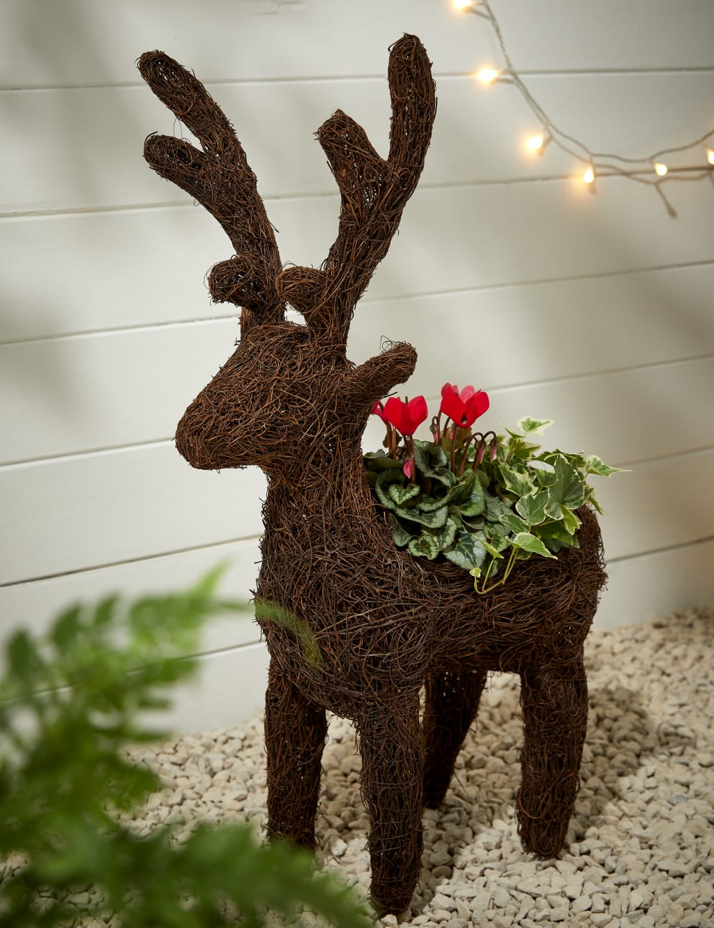 Outdoor Reindeer Red Cyclamen Planter 1 of 4