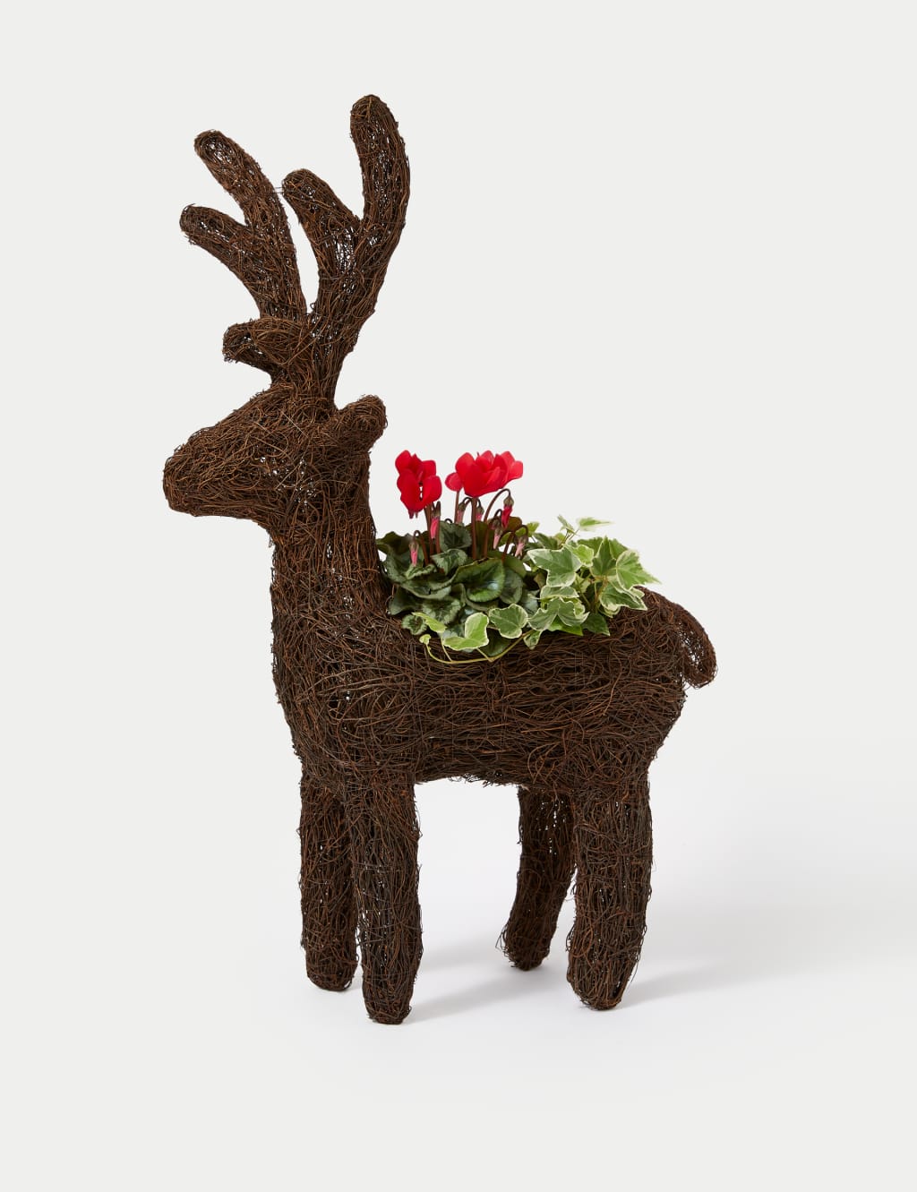 Outdoor Reindeer Red Cyclamen Planter 2 of 4