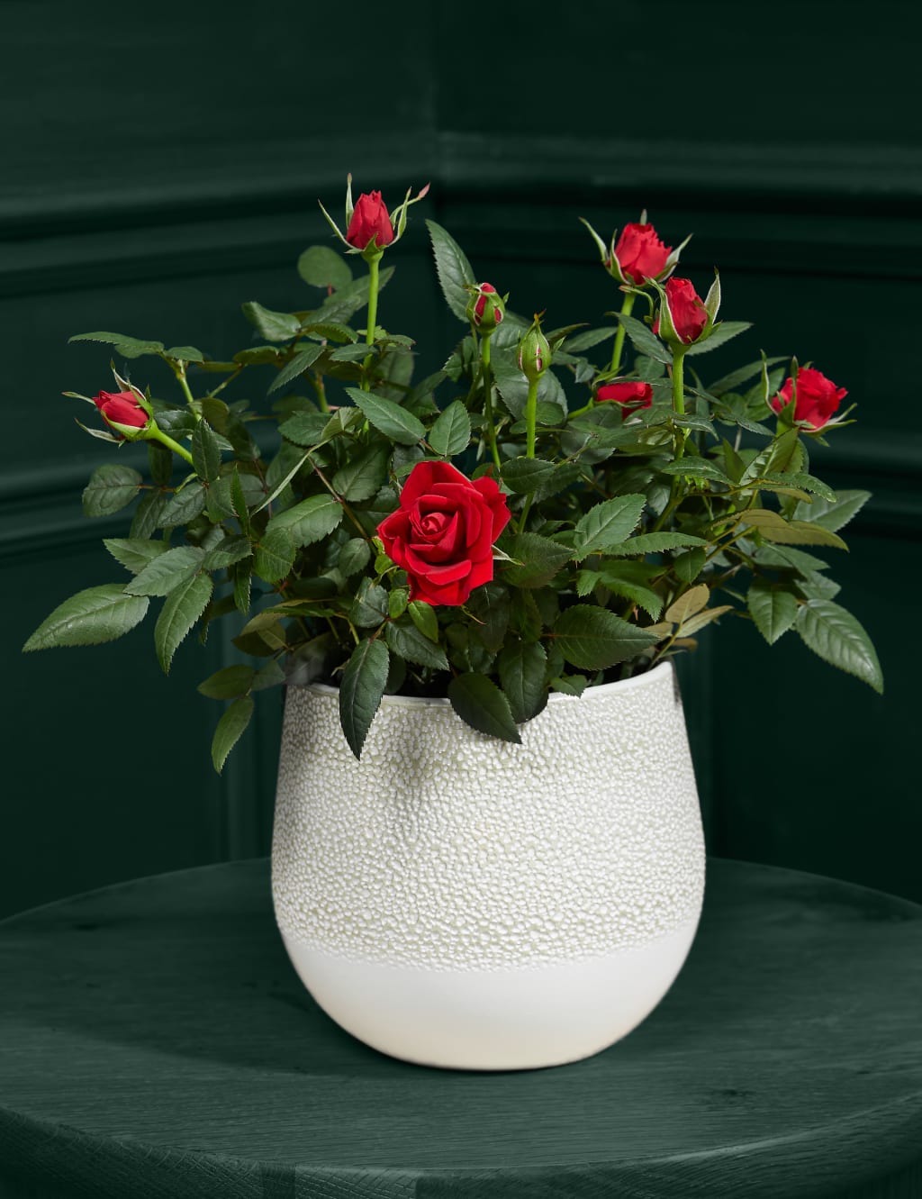 Red Rose Ceramic 1 of 3