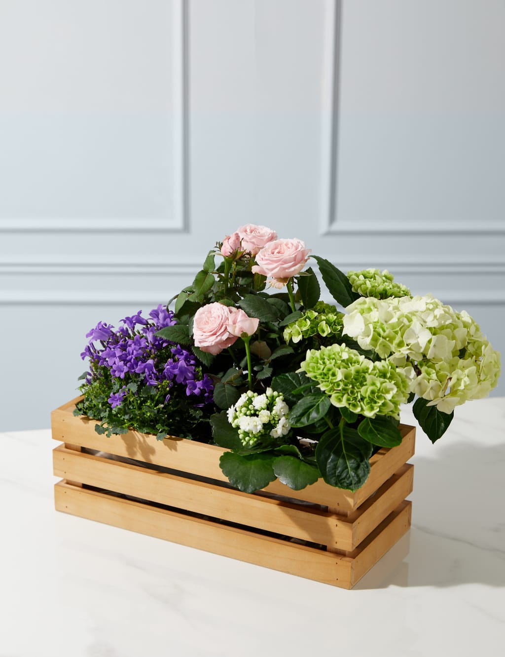 Flowering Crate 1 of 4