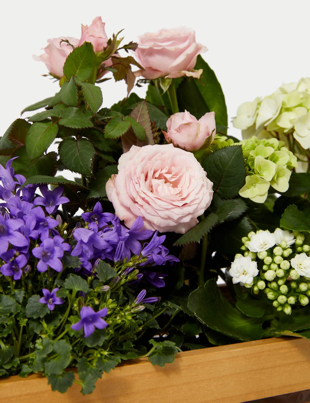 Flowering Crate 3 of 4