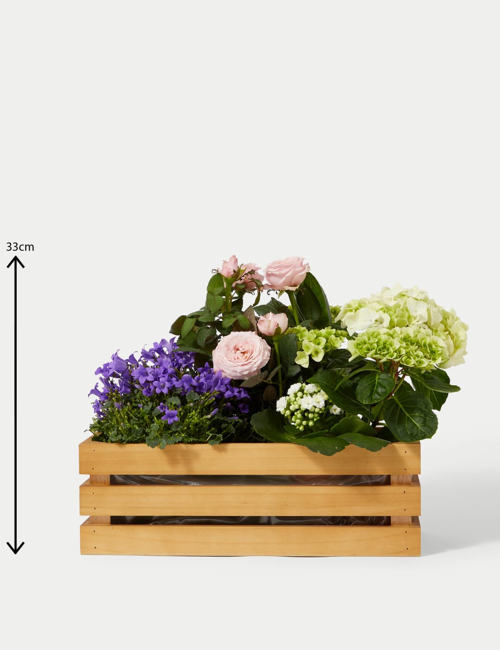 Flowering Crate 4 of 4