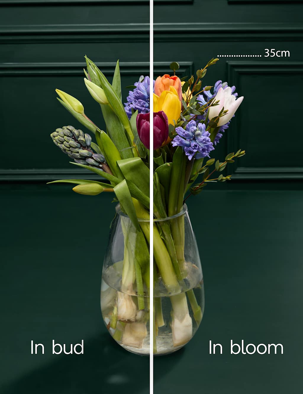Hyacinth & Tulip Bouquet 4 of 7