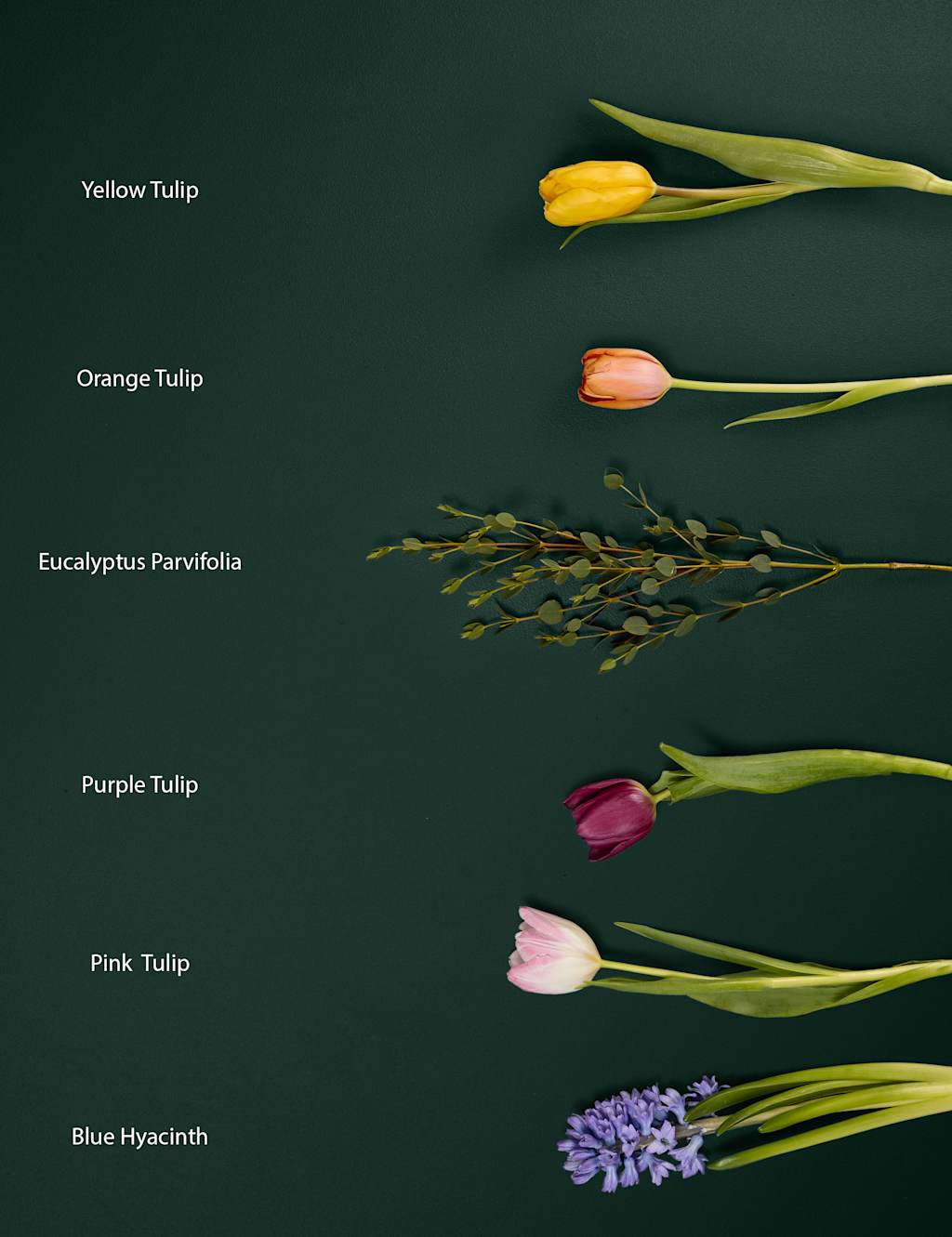 Hyacinth & Tulip Bouquet 5 of 7