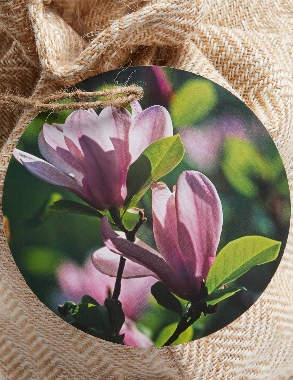 Magnolia Tree 4 of 4