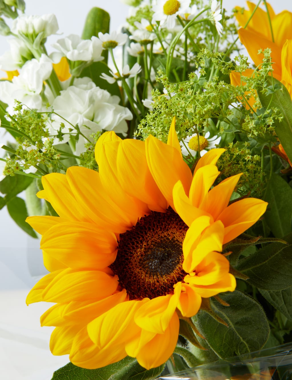 Seasonal Sunflower Gift Bag 4 of 4