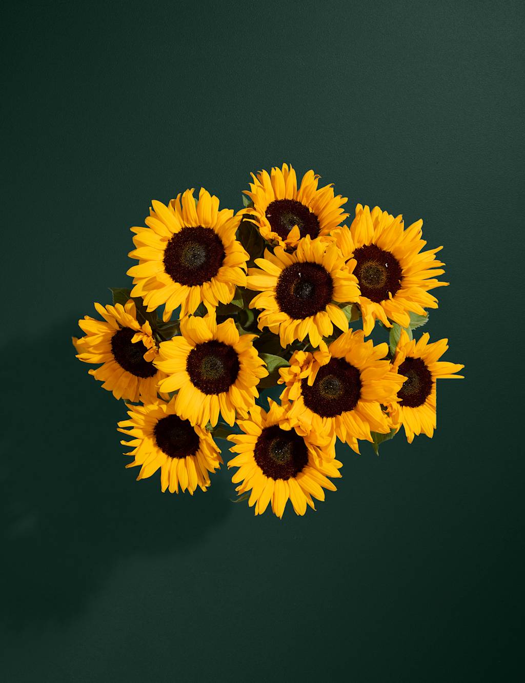 Sunflower Abundance Bouquet 2 of 6