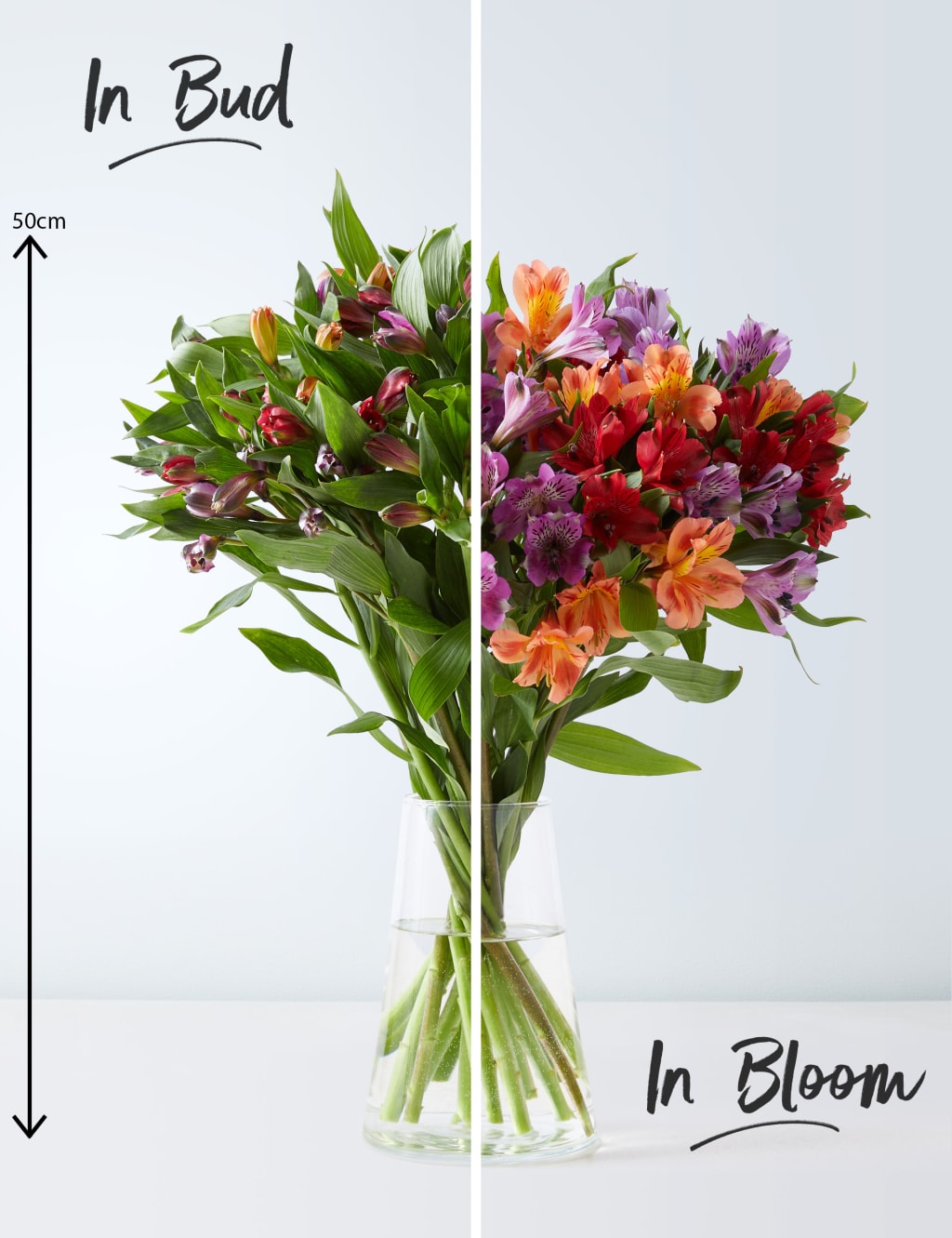 Alstroemeria Abundance Christmas Bouquet 3 of 4