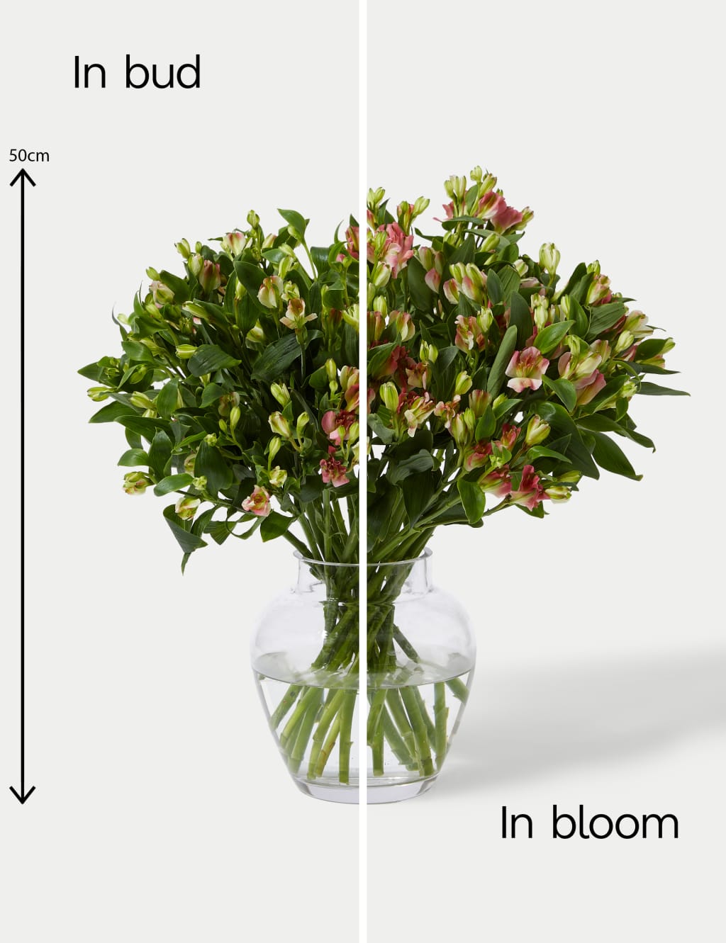 Charmelia Abundance Bouquet 5 of 5