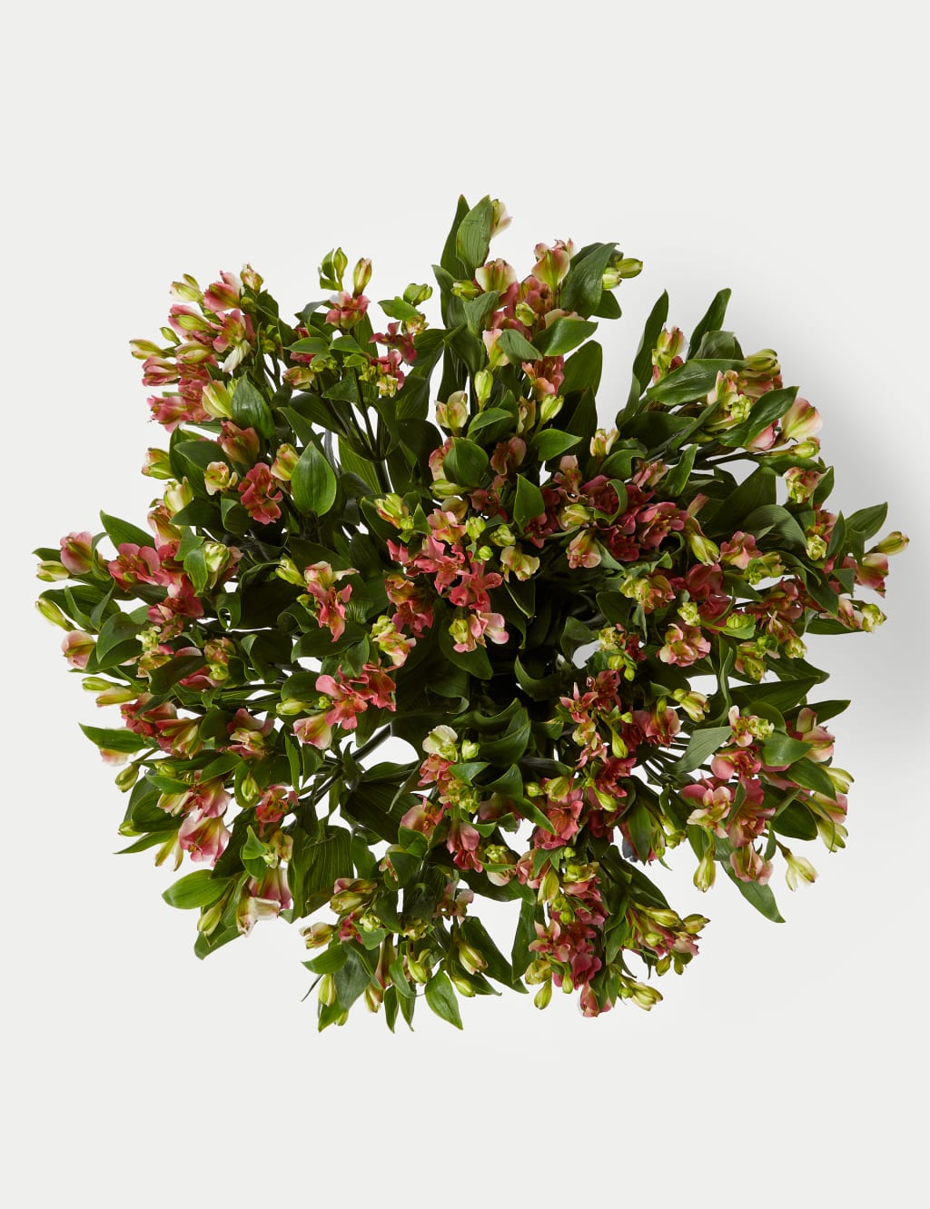 Charmelia Abundance Bouquet 2 of 5