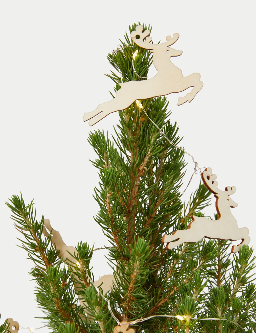 Real Christmas Tree in Gold Pot 3 of 4
