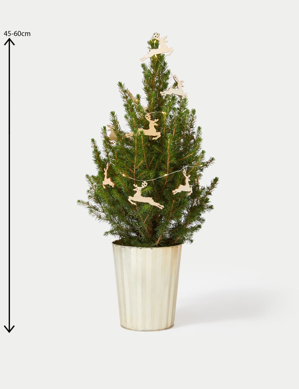 Real Christmas Tree in Gold Pot 4 of 4