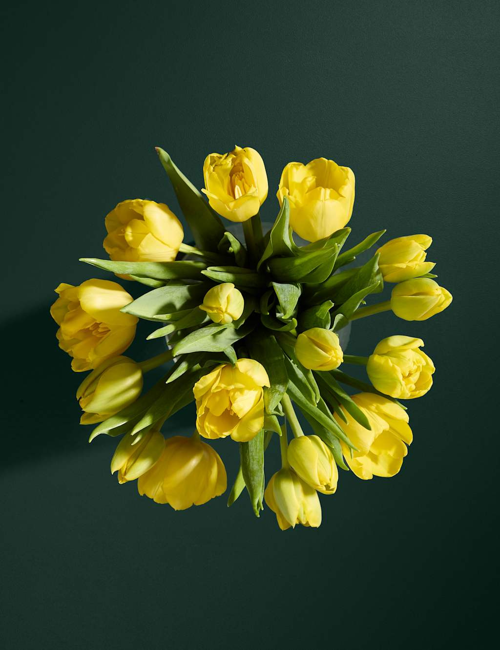 Easter Yellow Tulip Abundance Bouquet 2 of 6