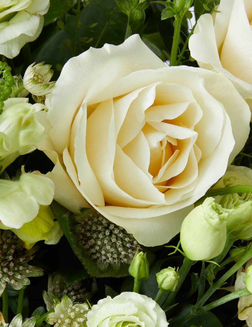 Bouquet of the Month April 4 of 4