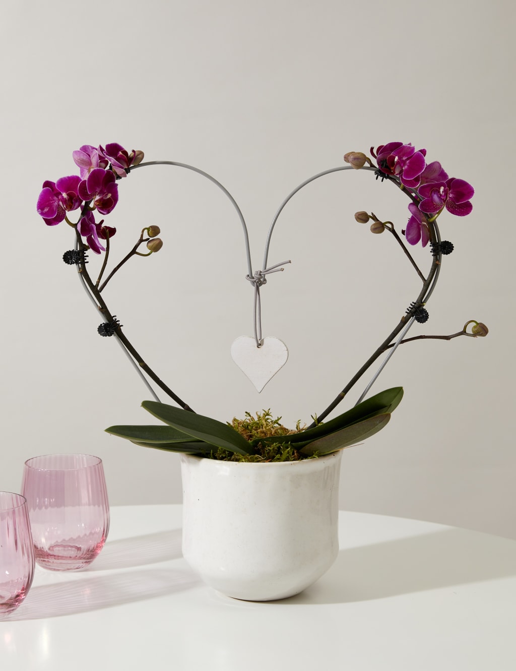 Amethyst Heart Orchid 1 of 4