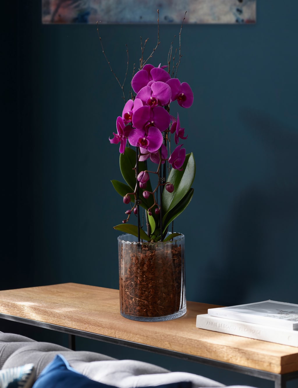 Luxury Purple  Phalaenopsis Orchid Cascade in Glass 1 of 4