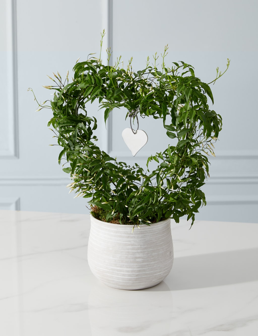 Jasmine Heart Ceramic Planter 1 of 4