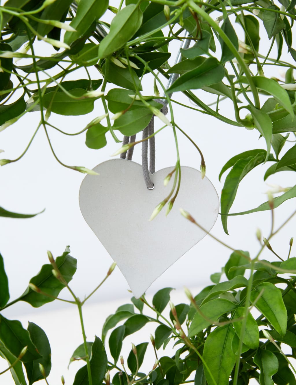 Jasmine Heart Ceramic Planter 4 of 4