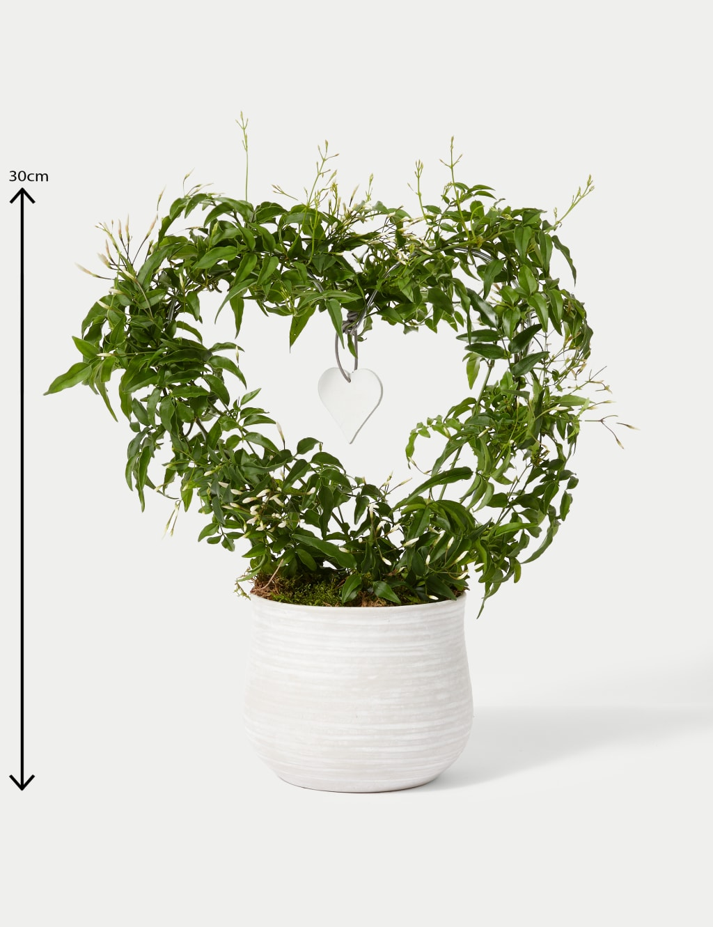 Jasmine Heart Ceramic Planter 2 of 4