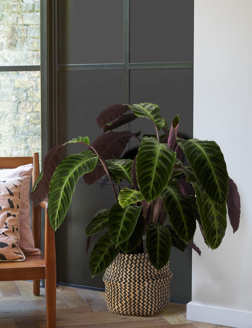 Extra Large Calathea Basket 1 of 4