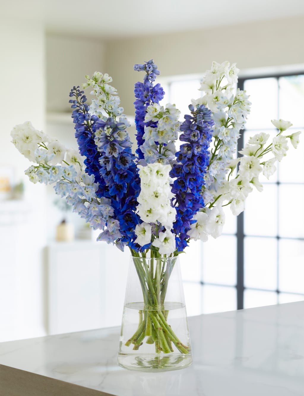 Delphiniums Flowers Bouquet 1 of 4