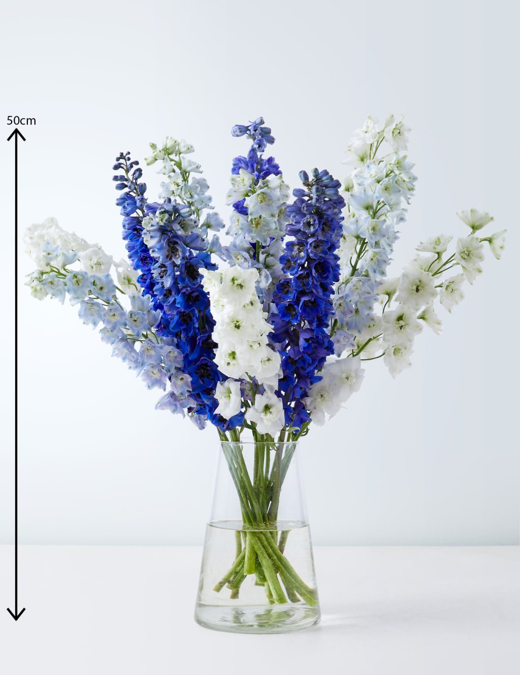 Delphiniums Flowers Bouquet 3 of 4