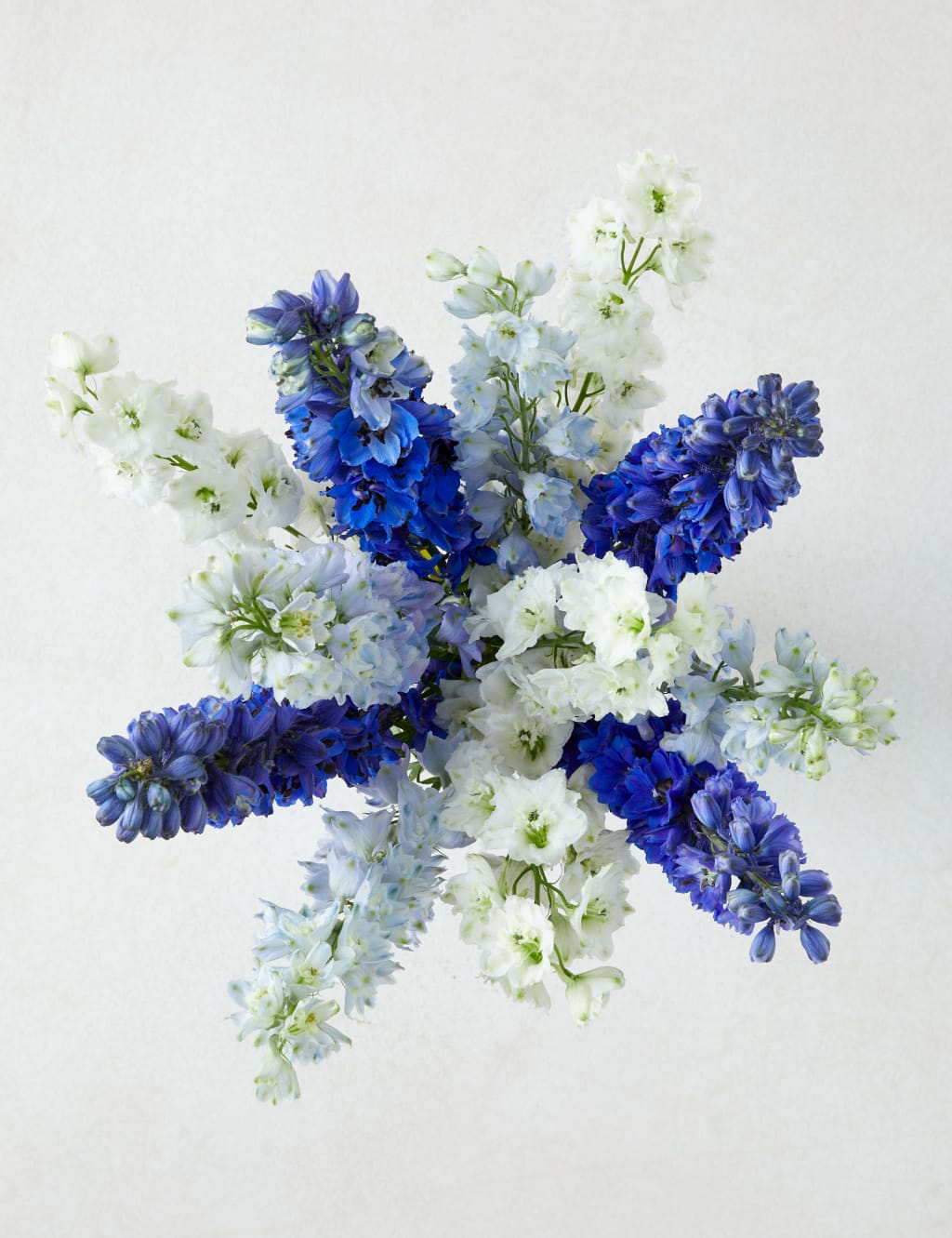 Delphiniums Flowers Bouquet 2 of 4
