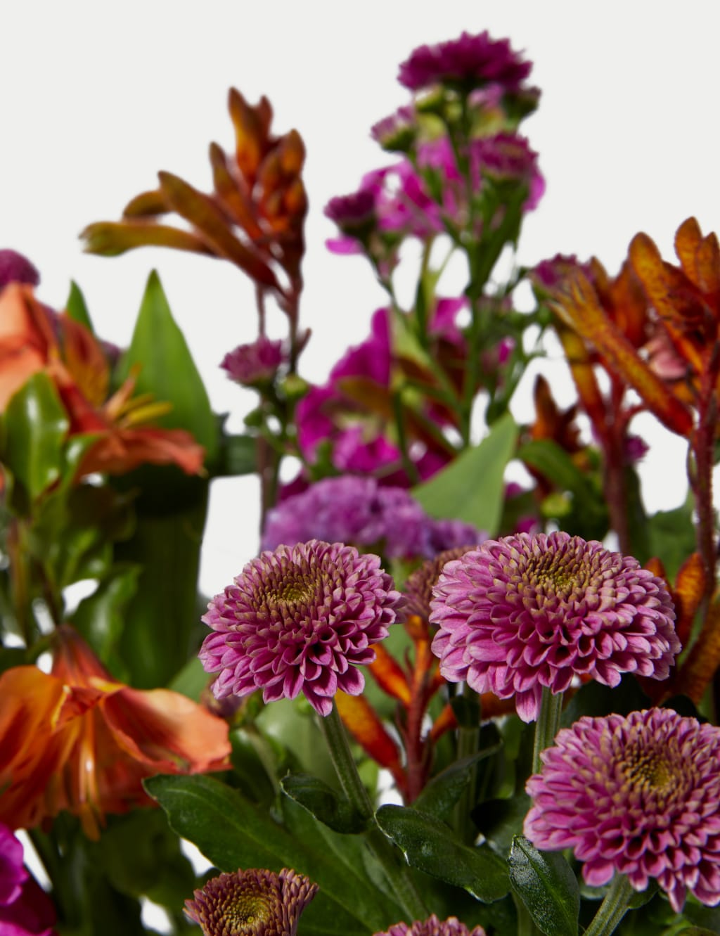 Alstroemeria, Stocks & Santini Chrysanthemum Bright Bouquet 4 of 5