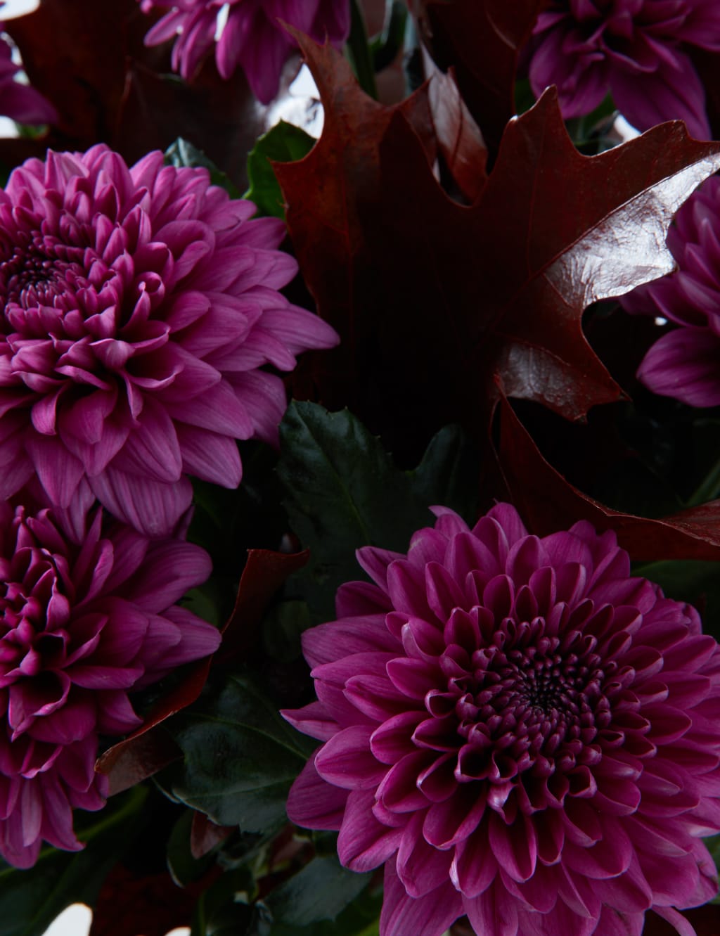 November Blooming Beautiful Bouquet 4 of 4