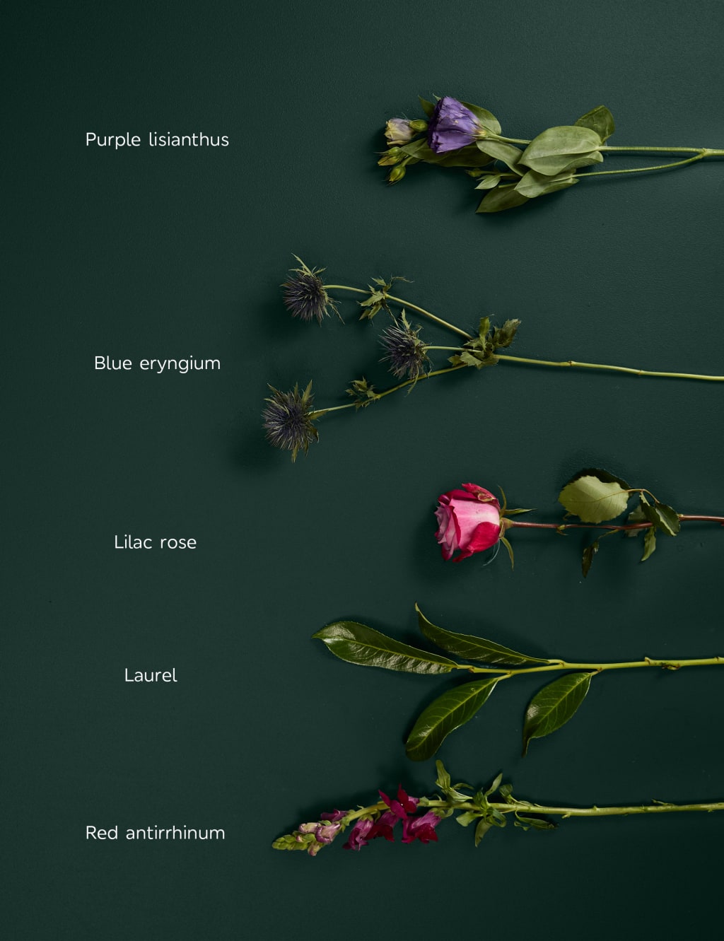 Rose, Antirrhinum & Lisianthus Bouquet 4 of 6