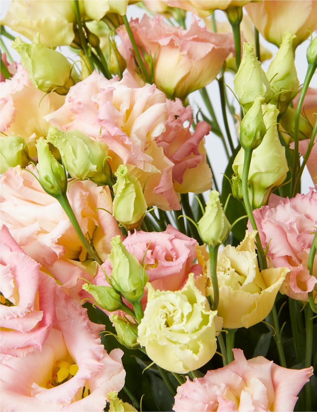 Salmon Lisianthus Flowers Bouquet 4 of 4