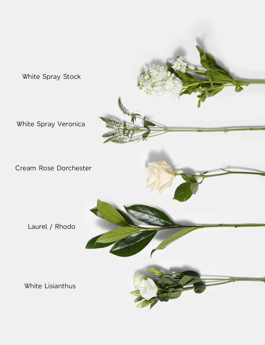 White Bouquet Rose, Lisianthus & Stock 6 of 7