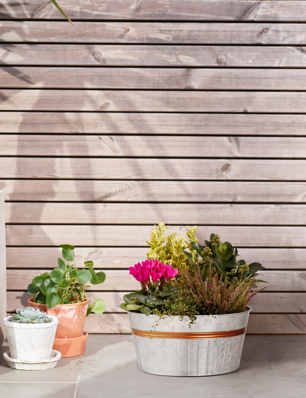 Autumn Tin Planter 1 of 4