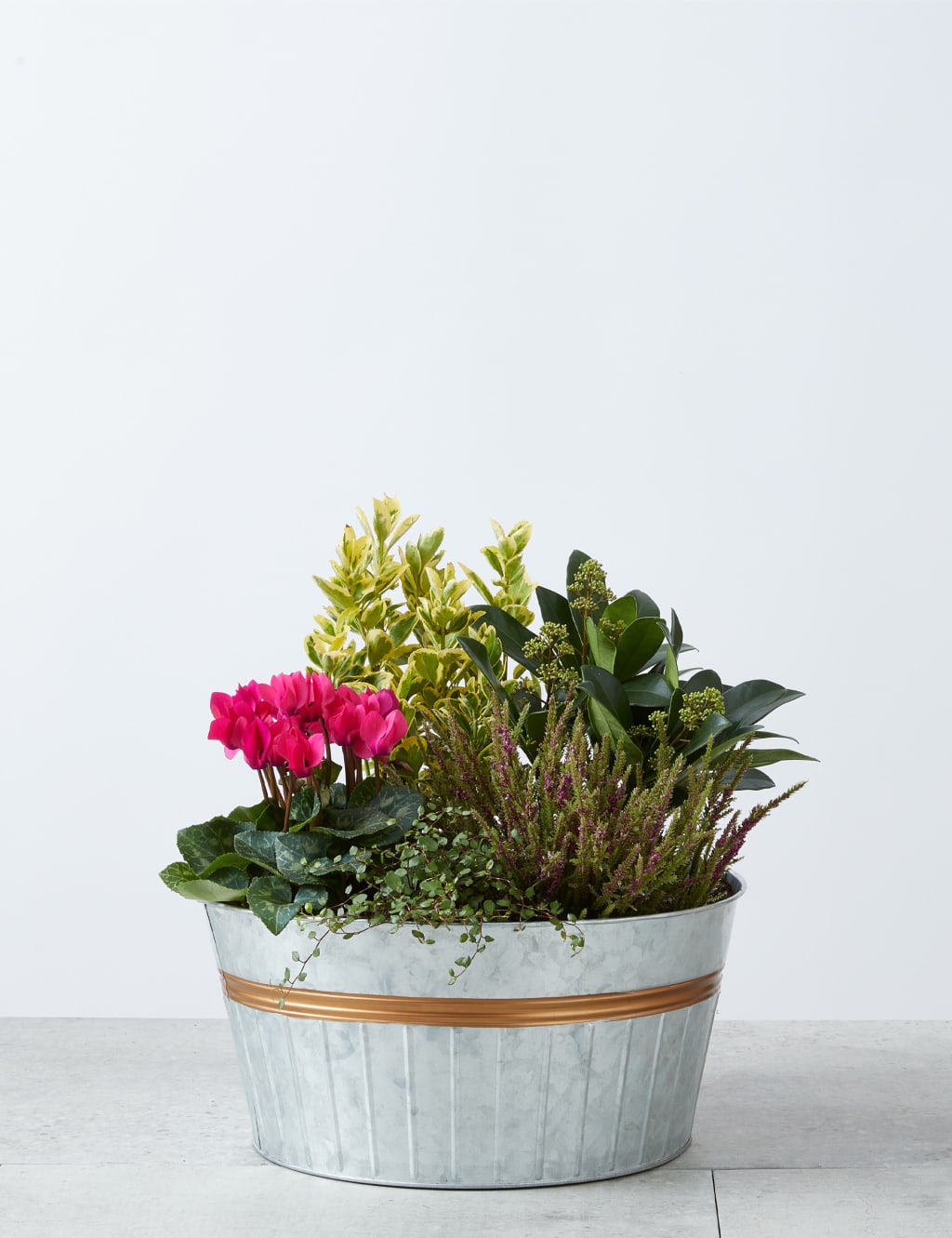 Autumn Tin Planter 2 of 4